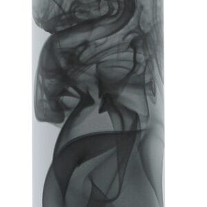 Revlon Charlie Black Body Sprej 75ml